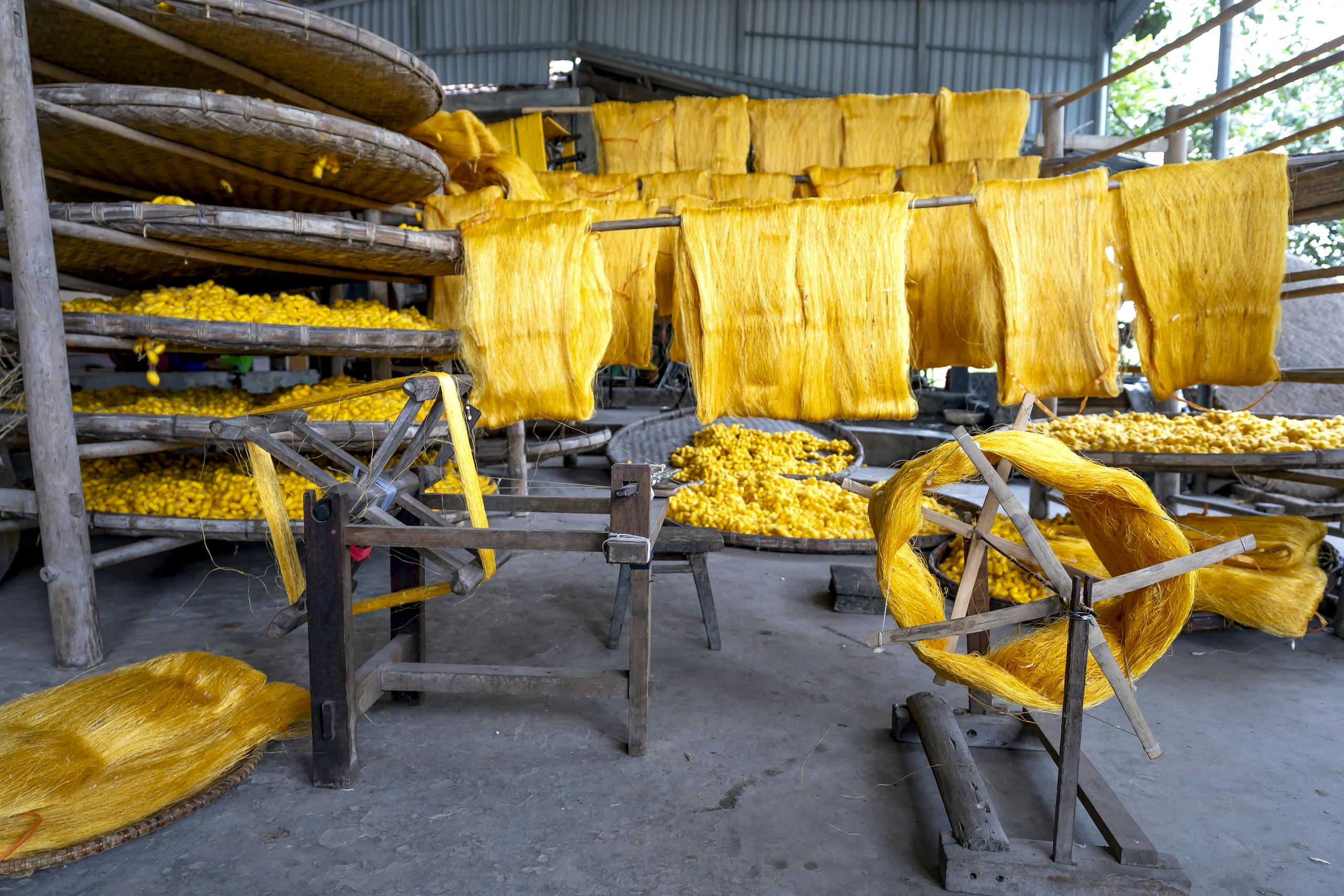 Vibrant yellow silk threads drying in a traditional artisan workshop setting.